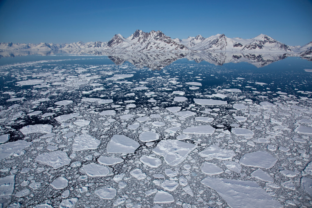 Pack Ice East Greenland ©Shinsetsu Photo