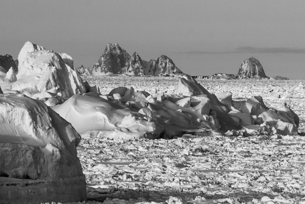 Icebergs East Greenland ©Eli Spiegel