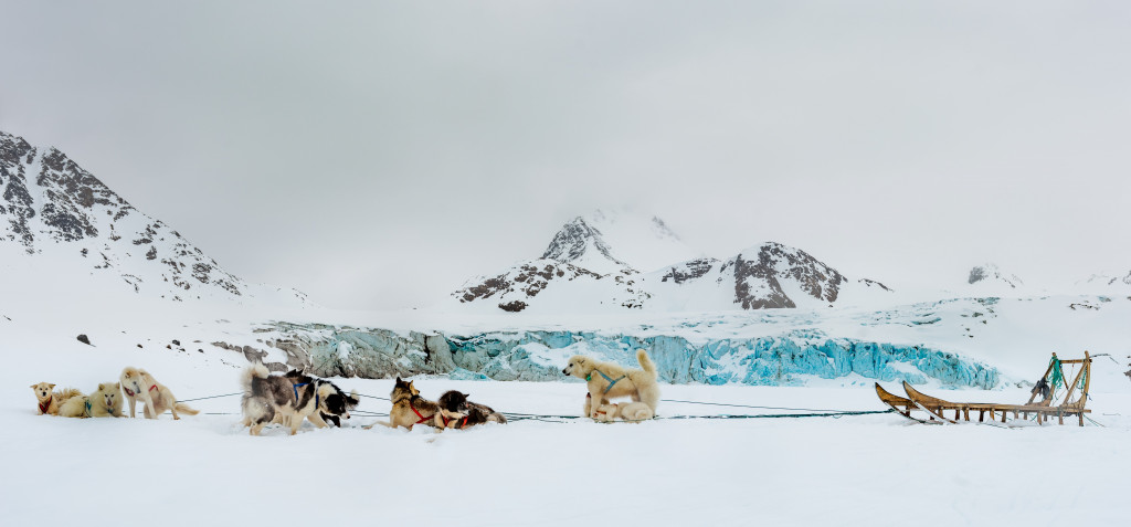 Dogsledding East Greenland ©Eli Spiegel